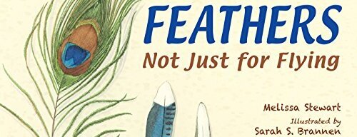 Feathers Not Just For Flying